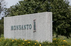 Maker of Roundup says weedkiller is 'safe', vows to fight €254 million penalty over its links to cancer