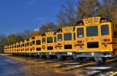 School bus contract should be put out to tender, says US-Irish consortium