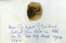Collins hair ‘withdrawn from auction’ after family reveals sadness at sale