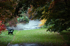 12 beautiful photos of trees around Ireland at the turn of autumn