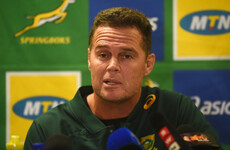 Former Munster coach 'Rassie' Erasmus says job on the line against All Blacks