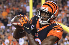 Andy Dalton throws four touchdown passes as Bengals defeat Ravens