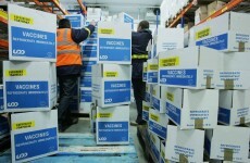 Government official defends indemnity for swine flue vaccine makers