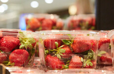 'Food terrorism': Australian strawberry scare continues as more needles found in fruit in copycat attacks