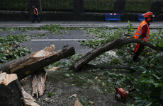 Tánaiste says State infrastructure was prepared for Storm Ali - but the public weren't