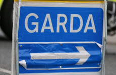 Woman (70s) dies after being hit by truck in Monaghan