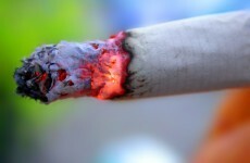 Smokers' body rejects plans to ban smoking in public parks