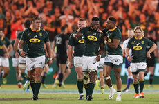 Erasmus: Springboks can win the World Cup after pushing All Blacks