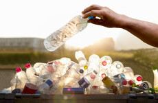 'Perhaps we are wrong': Government to examine bottle deposit scheme 'afresh'