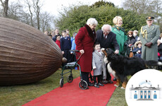 Even the President's pets got dragged into the campaign - but an expert reckons they're an ideal dog for the Áras