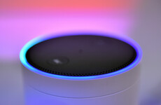 Judge asks Amazon to share Echo recordings in US murder case