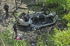 Seven killed as SUV plunges into Bronx Zoo