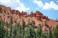 Hiker survives four days stranded without food