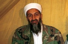 Bin Laden papers to be released online