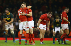 Jenkins guides Wales past Springboks to extend winning streak