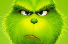 What Percent Grinch Are You?