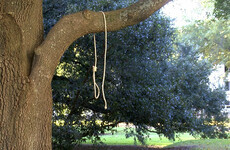Police investigating nooses found by Mississippi Capitol before US Senate runoff