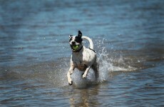 Irish bathing water quality improved in 2011