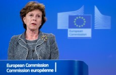 EU digital affairs chief admits controversial ACTA treaty likely to fail