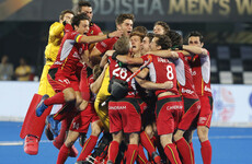 Former Ireland coach Craig Fulton celebrates Hockey World Cup win with Belgium