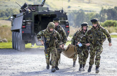 Bomb disposal, prison security, peacekeeping - The work of the Irish Defence Forces in 2018