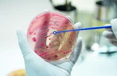 HSE warning after three die of infection that causes meningitis and septicaemia