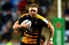 Wasps back row Young recalled, Halfpenny included in Wales Six Nations squad