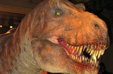 Man, 23, legally changes name to Tyrannosaurus Rex