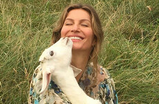 'Bad Brazilian'? Gisele Bündchen doesn't think she is - just a gal looking to save the trees
