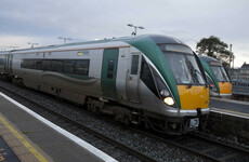 Nine deer killed after herd hit by train in Tipperary