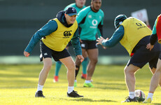 Injuries bring World Cup to mind as Schmidt seeks flexibility