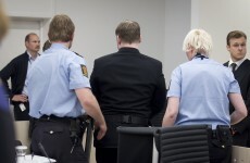 Breivik trial interrupted by shoe-thrower