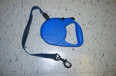 Man spends $60,000 on canine custody battle