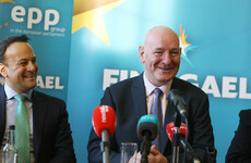 Fine Gael European election candidate says May vote can send 'green jersey' message to Brexiteers