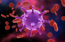 London patient becomes second man to be cleared of Aids virus