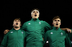 Towering Ryan relishing the 'dirty work' against France