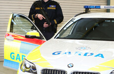 New armed Garda unit for border region, but Taoiseach says it would be rolled out even if Brexit wasn't happening