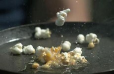 Slow-motion Video of the Day