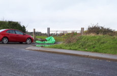 Body of young horse that was used for sulky racing dumped on Dublin road