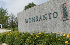 French court upholds guilty verdict against Monsanto over poisoning of farmer who used its weedkiller