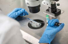 Dutch doctor at centre of IVF scandal used his own sperm to father 49 children