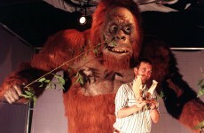 Scientists launch DNA search... for Bigfoot