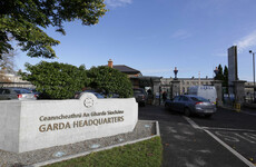 Internal garda probe after video emerges of €10k cash seizure being flaunted on camera
