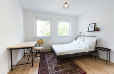 How co-living works in other countries and how they compare to Ireland's house-shares