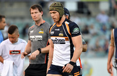 Pocock calls an end to his time with Brumbies and chases World Cup fitness
