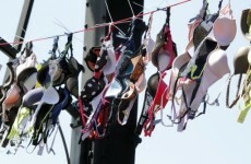 Wearing a tight bra? Public greatly misinformed about cancer risks