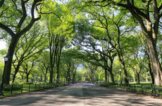 Sitdown Sunday: The victims of the real Central Park Five attacker speak out
