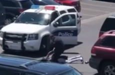 'Get out of the f*****g car' - US family face police guns after toddler allegedly takes doll from shop