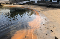 Discoloured water on Dublin beaches down to algal bloom, says council