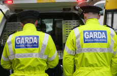 New law will pave the way for gardaí to wear body cams